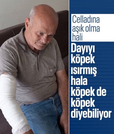 Burdur'da kolunu köpek ısıran taksicinin sözleri yeniden gündem oldu