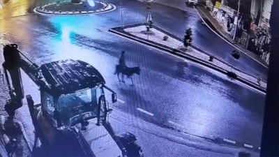 Kayseri’de kuyumcuyu soyup eşekle kaçan sanığın hapis cezası belli oldu
