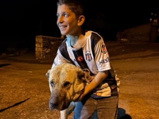 Erzurum'da ayıların hedefi olan Sencar’ı kangal köpeği kurtardı