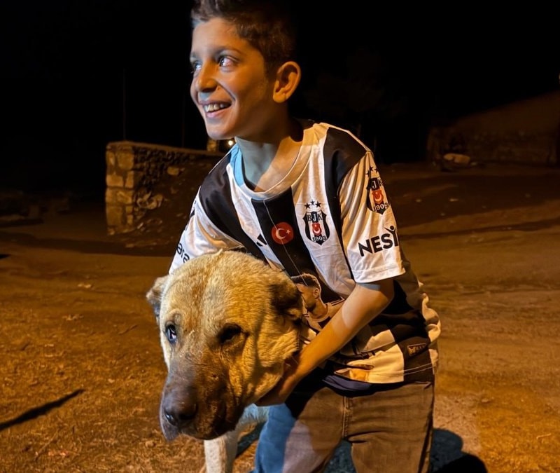 Erzurum'da ayıların hedefi olan Sencar’ı kangal köpeği kurtardı