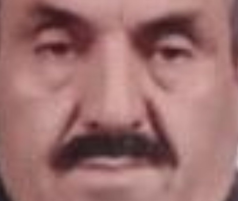 Samsun'da ağacın altında kalan yaşlı adam hayatını kaybetti