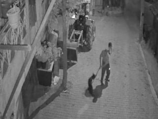 Kocaeli'de köpeği demir çubukla öldürdü: Tutuklandı