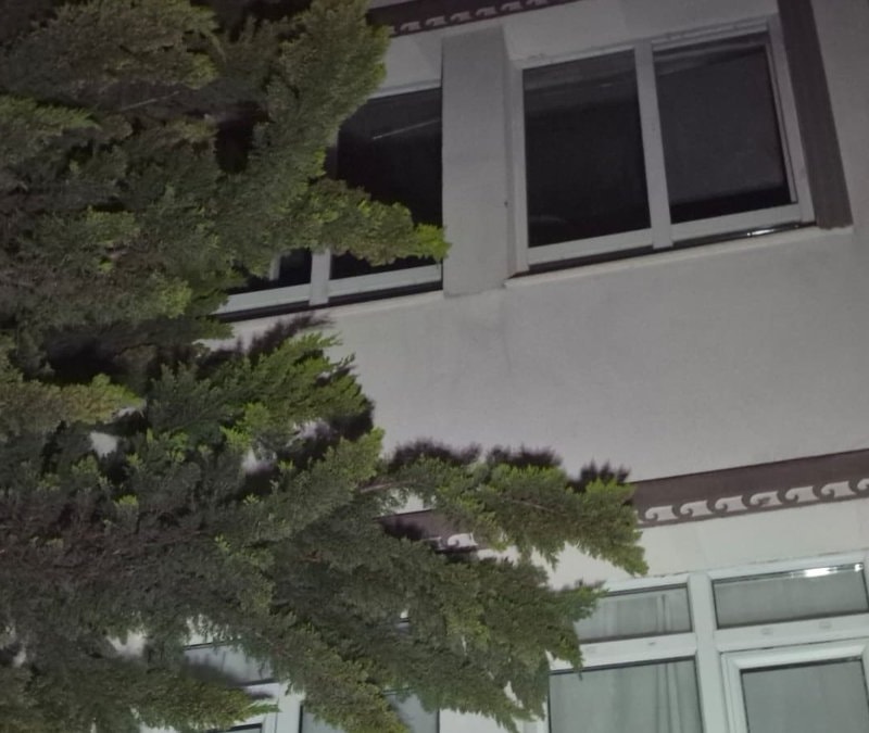 Ankara'da alev alan ağaç bir daireyi kül etti