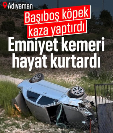 Adıyaman'da başıboş köpek kaza yaptırdı: Otomobili defalarca takla attı