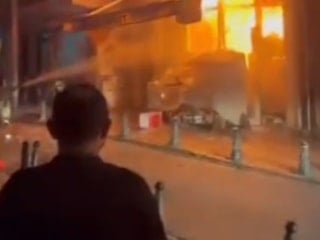 İstanbul'da yangından kurtardığı kediye kalp masajı yaptı
