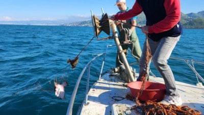 Trabzon'da kalkan avı denetimi: 3 bin metrelik ağa el konuldu