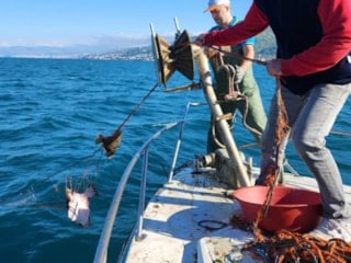 Trabzon'da kalkan avı denetimi: 3 bin metrelik ağa el konuldu