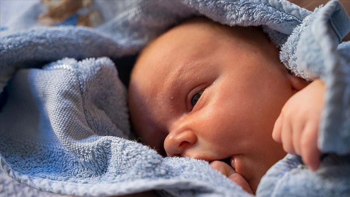 Kısırlık tedavisinde yeni dönem: Yapay zeka sperm buluyor