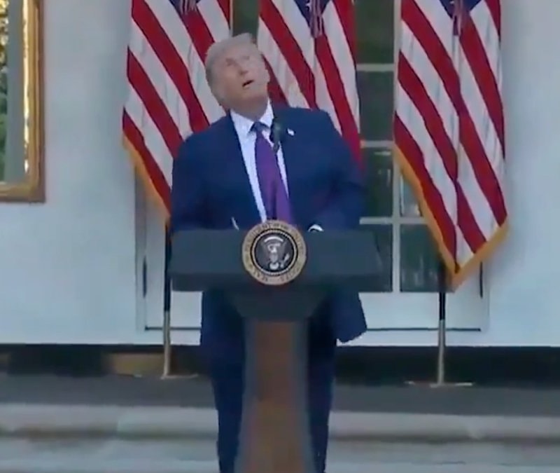 Donald Trump'ın panik anları: Kuşu saldırı 'drone'u sandı
