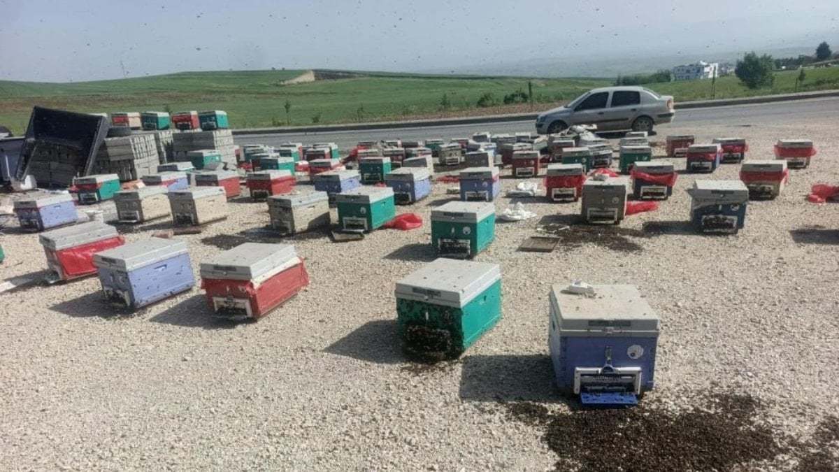 Batman'da yola savrulan kovanlarda binlerce arı telef oldu