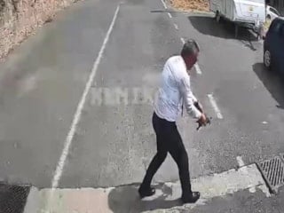 Kocaeli'de otobüsü durdurup kaplumbağayı ezilmekten kurtardı