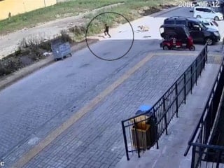 Hatay'da 7 yaşındaki çocuğa köpekler saldırdı