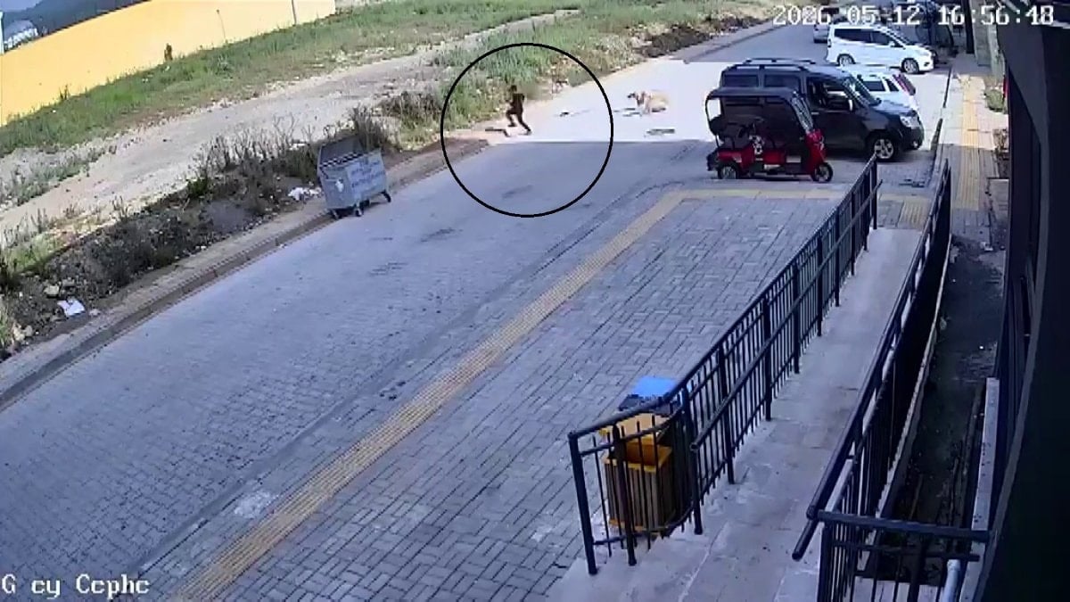 Hatay'da 7 yaşındaki çocuğa köpekler saldırdı