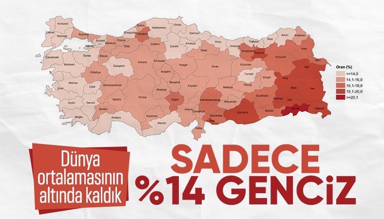 Türkiye nüfusunun yüzde 14,8'ini genç nüfus oluşturdu