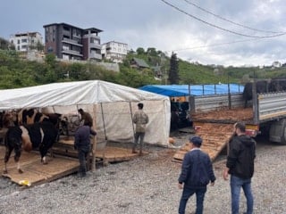 Trabzon'da dakikalarca süren pazarlığın kazananı inat oldu: Kolum ağrıdı