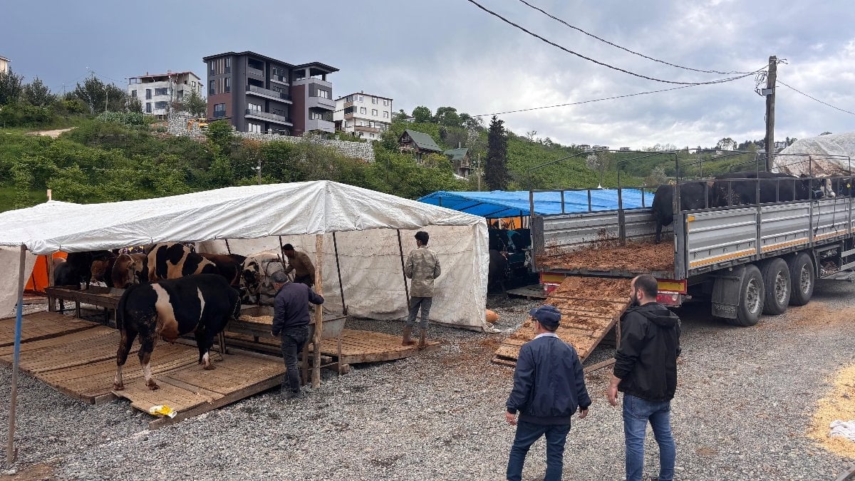 Trabzon'da dakikalarca süren pazarlığın kazananı inat oldu: Kolum ağrıdı