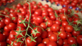 İstanbullular en çok portakal ve domates tüketti