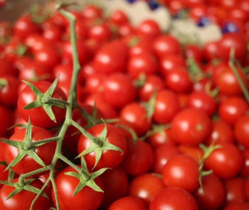 İstanbullular en çok portakal ve domates tüketti