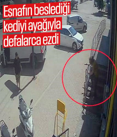 Antalya'da bir şahıs esnafın beslediği kediyi ayağıyla ezdi