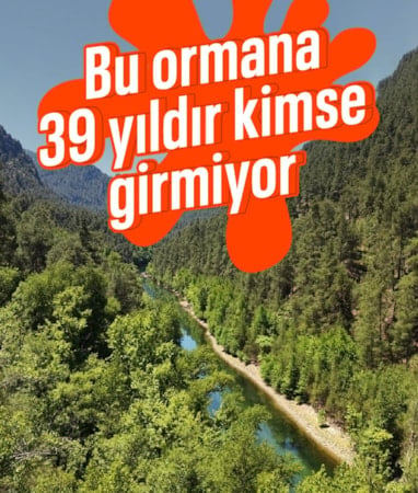 Burdur'da 39 yıldır korunan ormana sadece bilim insanları girebiliyor