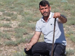 Konya'da günde 60 bin lira değerinde mantar topluyor