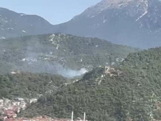 Muğla'nın Fethiye ilçesinde orman yangını