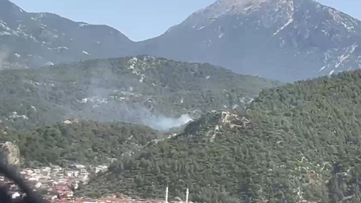 Muğla'nın Fethiye ilçesinde orman yangını