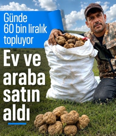 Konya'da günde 60 bin lira değerinde mantar topluyor