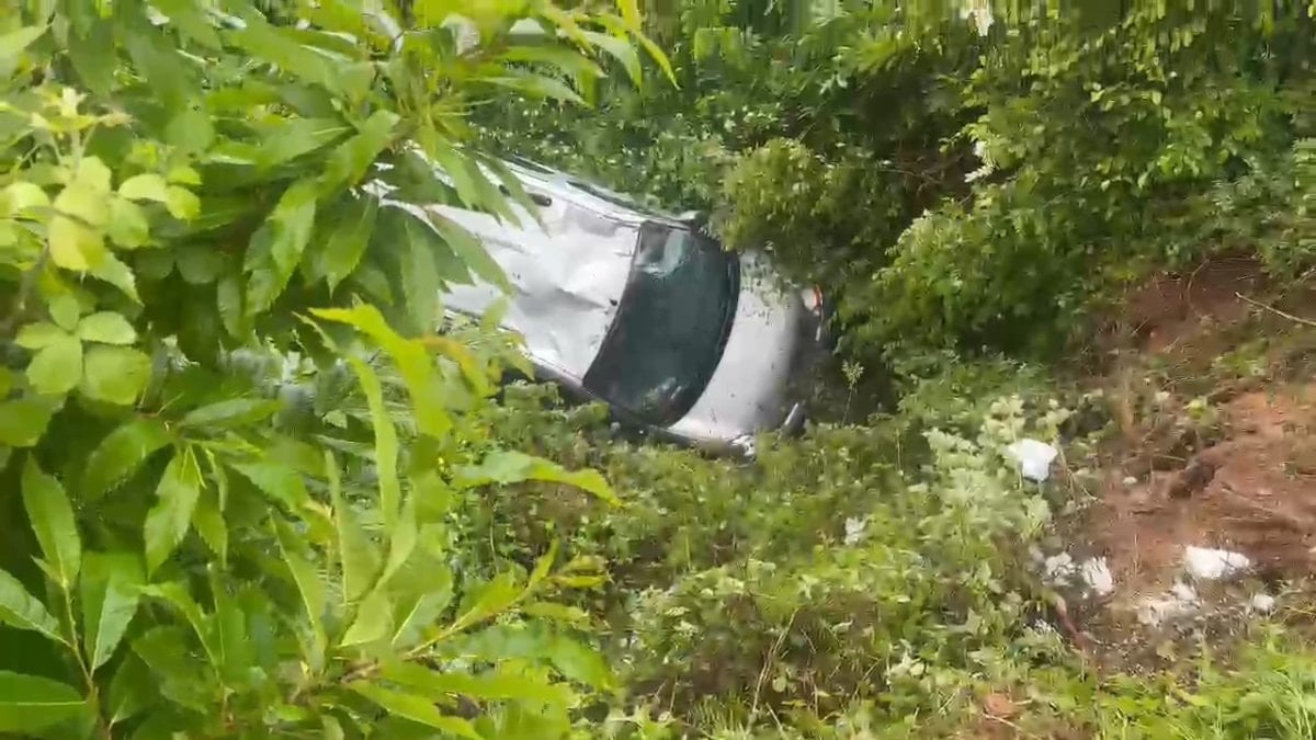Sakarya'da otomobil şarampole uçtu