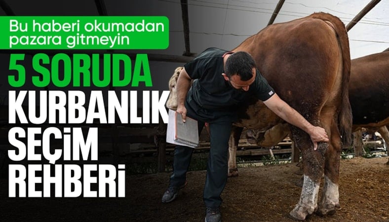 Kurbanlık seçiminde dikkat edilmesi gerekenler