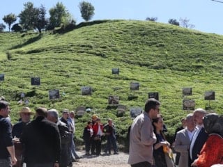 Rize'de çay hasadı karşılama programı yapıldı