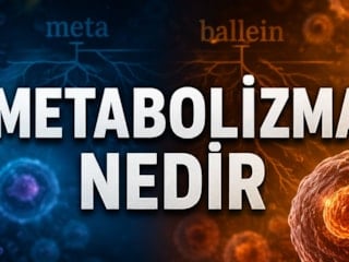 "Metabolizma"nın kökeni bakın ne çıktı! İşte gerçek anlamı