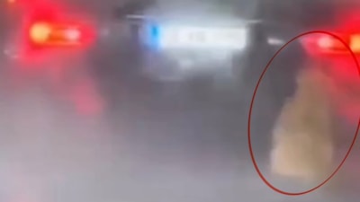 Samsun'da köpeği kamyonetin arkasında sürükleyen şahıs gözaltına alındı
