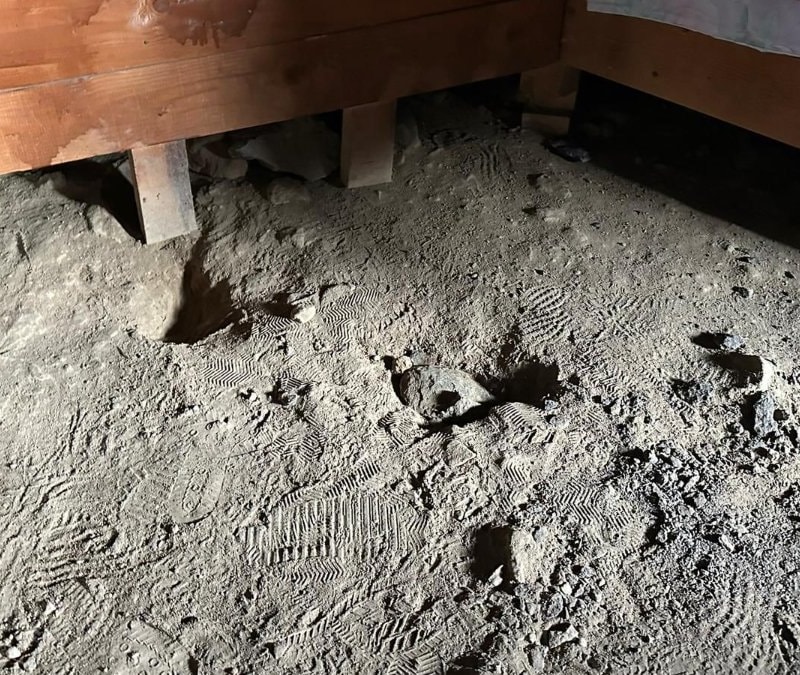 Tunceli'deki Düzgün Baba Ziyaretgahı’ndaki tahribat soruşturmasında 3 tutuklama