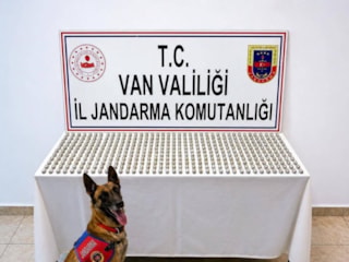 Van'da 8 İranlı'nın midesinden esrar çıktı