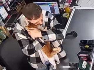 Sosyal medya Rize'deki bu görüntüyü konuşuyor: Sahiplendiği kedi her gün gelip sarılıyor