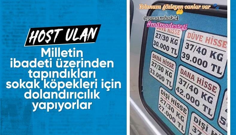 Sözde hayvanseverden ilginç talep: Kurban yerine mama alalım