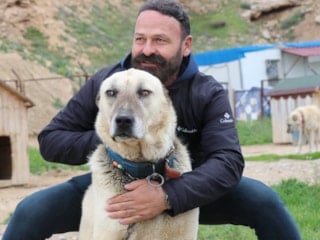 Sivas'ta kangal köpekle depresyonda