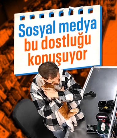 Sosyal medya Rize'deki bu görüntüyü konuşuyor: Sahiplendiği kedi her gün gelip sarılıyor
