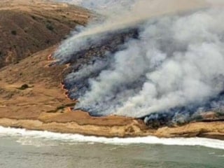 California'da yangın: Binlerce dönüm kül oldu