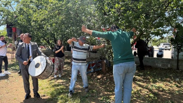 Bursa'da erik hasadı, davul zurna ile yapıldı