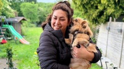 Almanya’da köpek sahiplerine sigorta şartı