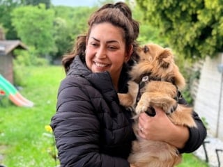 Almanya'da köpek sahiplerine yeni kural: Sorumluluk sigortası yaptırılacak