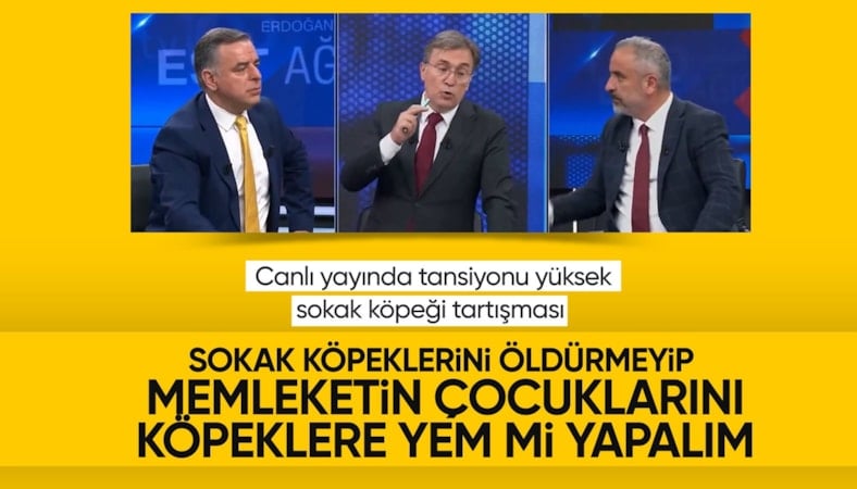 Canlı yayında sokak köpeği tartışması: Sinan Burhan ile Erdoğan Aktaş birbirine girdi