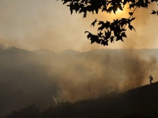 ABD'nin Kaliforniya eyaletinde yangın sürüyor
