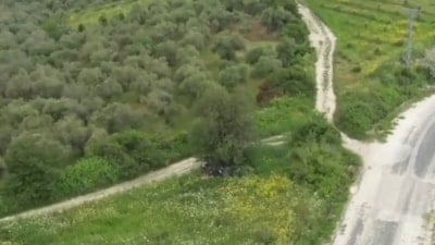 Hatay’da 42 düzensiz göçmen yakalandı