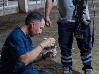 Antalya'da hayvan yakalama timi göreve hazır