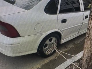 Tokat'ta bir vatandaş sel tehdidine karşı aracını ağaca bağladı