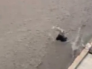 Ankara'da sel suları vatandaşları sürükledi