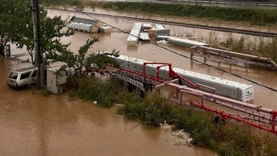 Aydın'ı fırtına vurdu: Çatılar uçtu, ağaçlar devrildi
